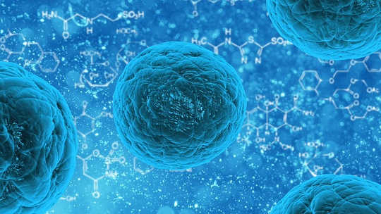 The Hype And The Hope Of Stem Cell Research And Therapy