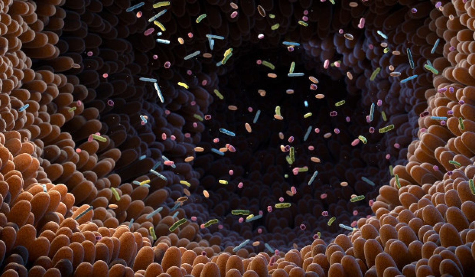 Unlocking the Potential of Gut Microbiome: Implications for Health and Treatment